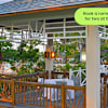 selloffvacations-prod/HOTEL CHAINS & LOGOS/Melia International Hotels/New Resorts Pages/Melia Jardines Del Rey/Ecomm/OUTPUT/SOV_MeliaJardinesDelRey_Ecomm_Carousel_1920x1080_EN_h